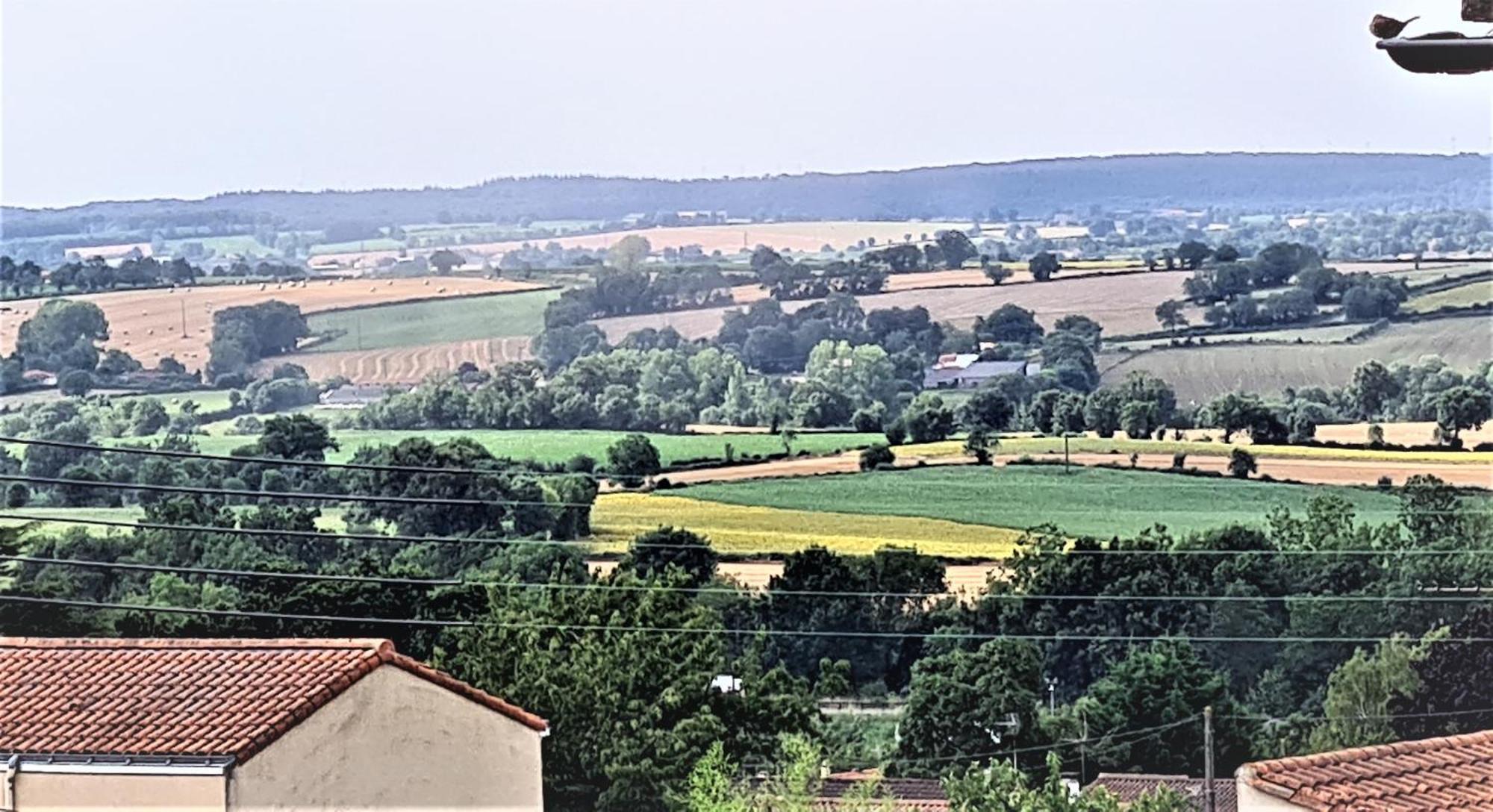 Le 120 - Groupe Logis Hotels - Ex Auberge La Terrasse La Châtaigneraie エクステリア 写真